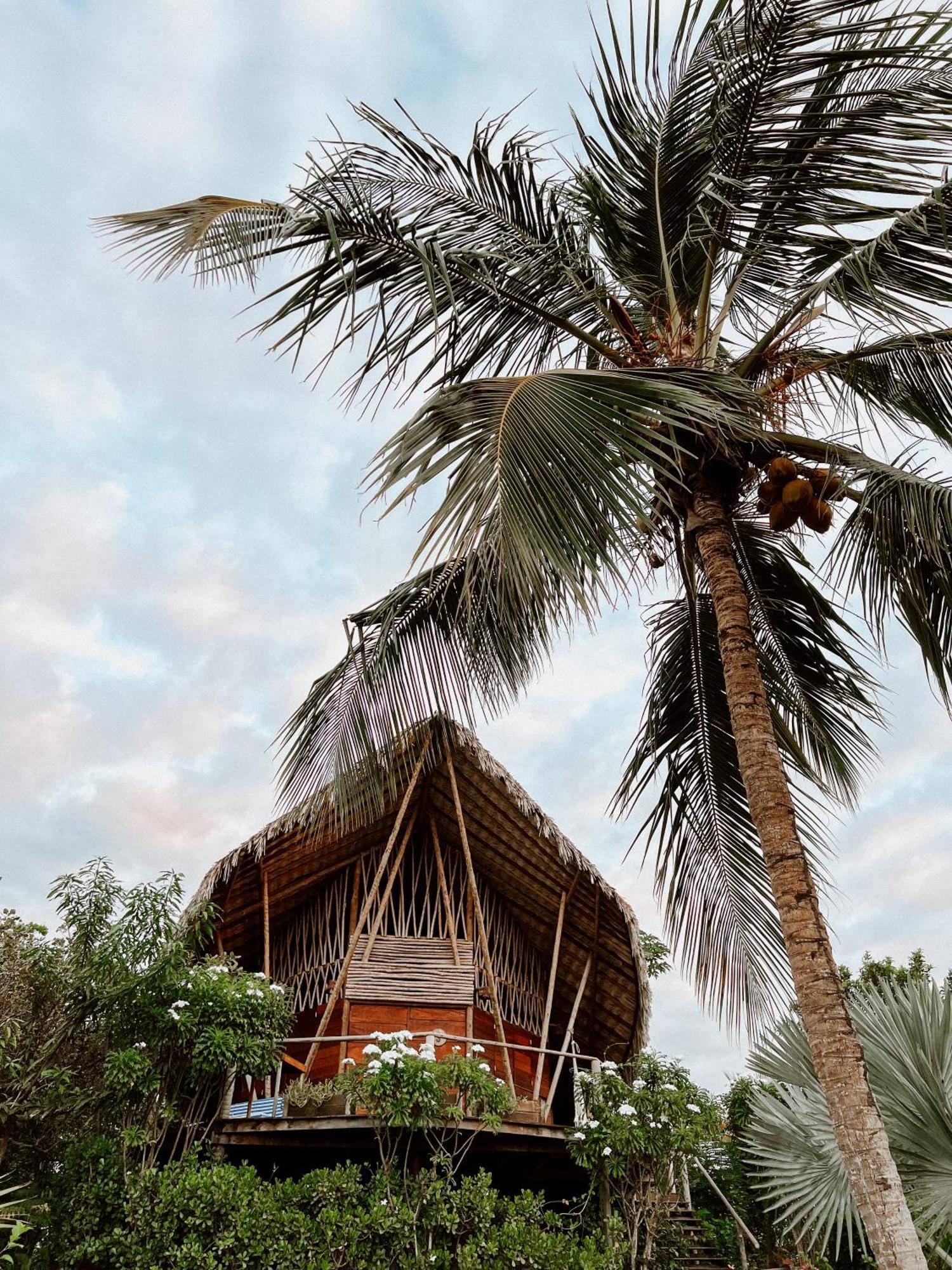 Sabia - Eco Lodge *